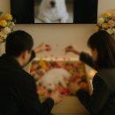 순천 반려동물장례식장 하늘별 이미지