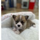 스카이치과의원 이미지