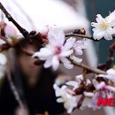 진해구 ⓒ-42 이미지