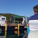 섬마을민박낚시 이미지