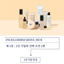 인셀덤블루오션 | 인셀덤 사업 설명 요약본 바로여기 한눈에 서울본부 끝판왕