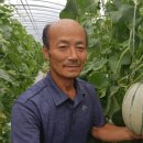 멜론 이미지