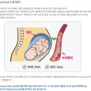 랩지노믹스의 급등이유는??? 삼성유전체연구소와 공동개발 유전자 암치료 진단검사기 기대감 이미지