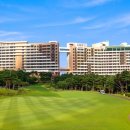 소노펠리체 이미지