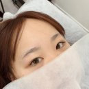 늘예쁨눈썹
