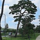 노송농원 이미지