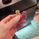 신대왕게임센터 | 22주차(26.03.09~26.03.15/왕과 사는 남자 관람, LEAP...맥쥬맥쥬맥쥬, 집주인 친구들이랑 카드 게임)