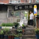 개미이용원
