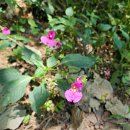 향교행정복지센터 이미지