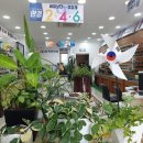 K비젼안경콘택트 네이버블로그