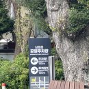 남원읍사무소 주차장 옆 이미지