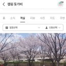 캠핑 돗가비 이미지