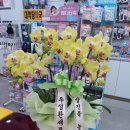 대학당약국 이미지