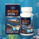 에버그린 이미지