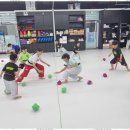 팀 에이스 태권도 이미지