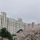 티하우스 하소하