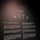 영감을 얻으러 간, 까르띠에 '인투 더 와일드 전시' 후기