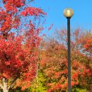 영대모터스 이미지