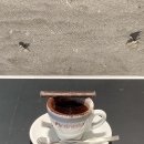 카페에스프레소 이미지