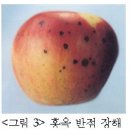생리장해