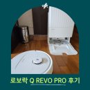 청돌집 | 우리 집 막내딸 청순이 로보락 Q REVO pro 사용 후기