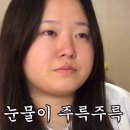 앨리스 핏 이미지