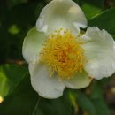 금곡영화민속촌 이미지