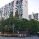 강남-163 이미지