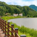 여유로이 이미지