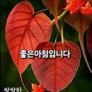 한사발 - 순천시 | 한사발