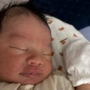 둘째 생후17일차 육아일기 이보다 완벽할수없다 조리원안간후기