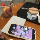 얼레벌레 뒤늦은 더비랜드 후기 ♬♪