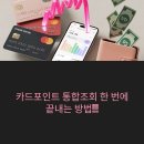 해뜨는주유소 | 카드포인트 통합조회 한 번에 끝내는 방법