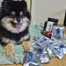 다온펫푸드 이미지