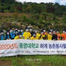 동명대학교 이미지