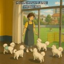 펫스티벌 | [목포] 펫스티벌 애견유치원 호텔 가격 변동 안내 (2025년) – 이용 전 꼭 확인!