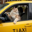 마포-성산-마포-41 이미지