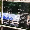 감내 피트니스 | 부산 놀거리 및 먹거리 / 부산 2박3일 여행코스 -1(국제시장,깡통시장,BIFF거리,용두산공원,부산타워...