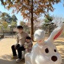 돌고래펜션민박 | 아이랑 안성,천안 2박 3일 여행 코스추천 : 안성팜랜드(핑크뮬리,가축놀이한마당)