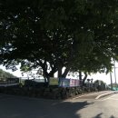 여수지맥 4구간 덕곳고개 ~ 화양고개 이미지