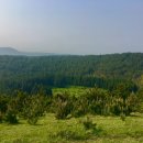 노을이쁜민박 이미지