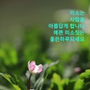 청명 이미지
