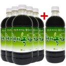 홍치마