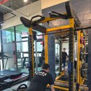 셀럽바디 이미지