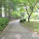 광교산 신봉동 등산로 네이버블로그