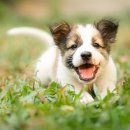 헤이든동물병원 이미지