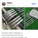 미즈노 중랑점 | 중랑구 중고 골프채 매장 미즈노 jpx900 아이언세트 구입 후기