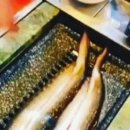 무한장어 이미지