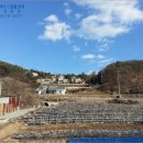 에이스목장 이미지