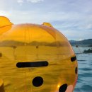 슈가브리움3 이미지